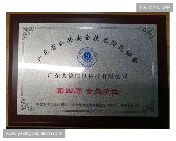 如何安全高效地进行ag快速厅会员登录确保账户信息安全