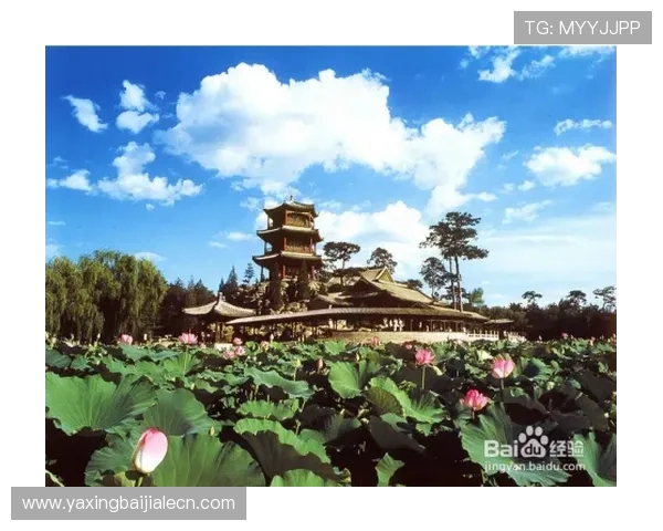 云顶山庄在哪:交通方式全攻略与出行建议 云顶山庄在哪:交通方式全攻略与出行建议