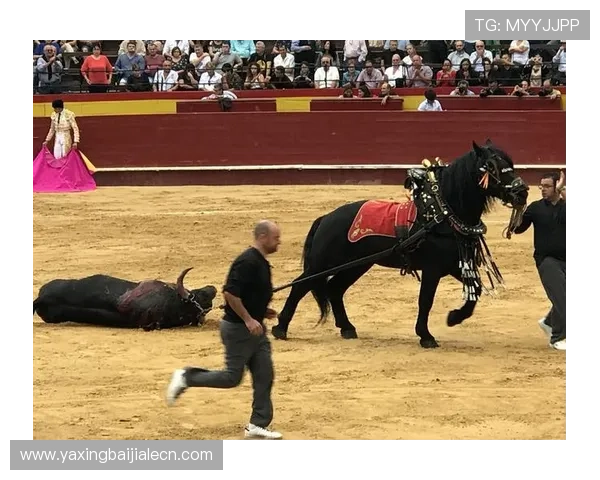 优质真人斗牛网址汇总助你快速找到最受欢迎的线上斗牛娱乐平台 优质真人斗牛网址汇总助你快速找到最受欢迎的线上斗牛娱乐平台