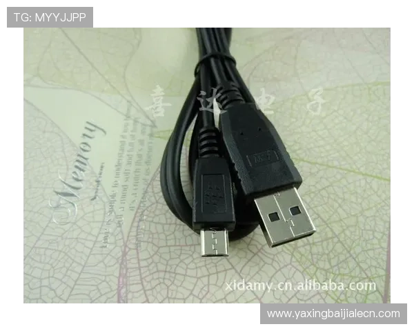 如何快速找到od真人官方地址，提供详细步骤与官方验证方法