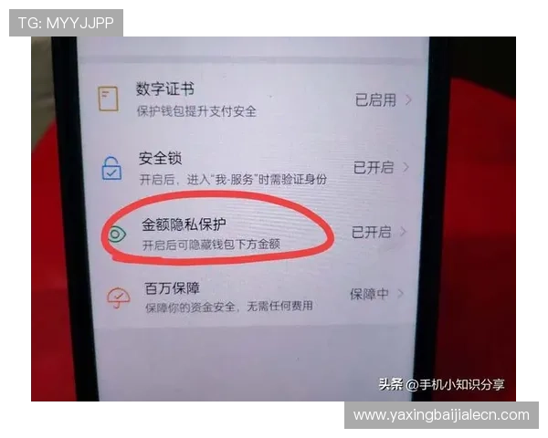 如何在K8视讯官网进行账号安全设置，提升个人信息保护水平