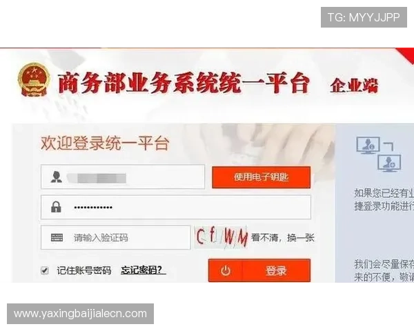 博鱼真人平台会员登录账号忘记怎么办，详细找回密码流程全攻略