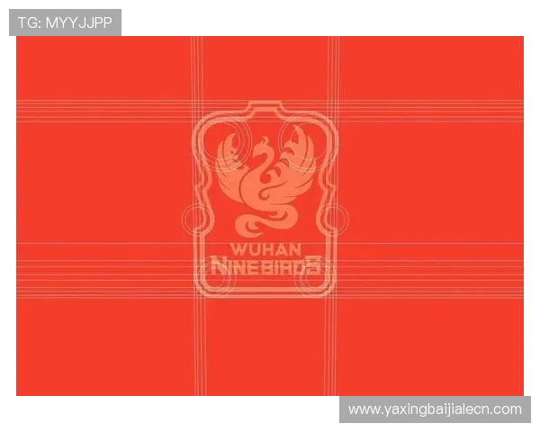加纳对巴拿马队徽设计理念全面分析：代表国家精神与足球文化的视觉符号